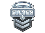 Silver (Foil) image